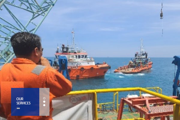 OFFSHORE-PROFESSIONAL-(Future)